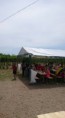 /album/x-bajai-roma-gyereknap-2016-05-29/a13315237-881193642027310-4833814671144961302-n-jpg/